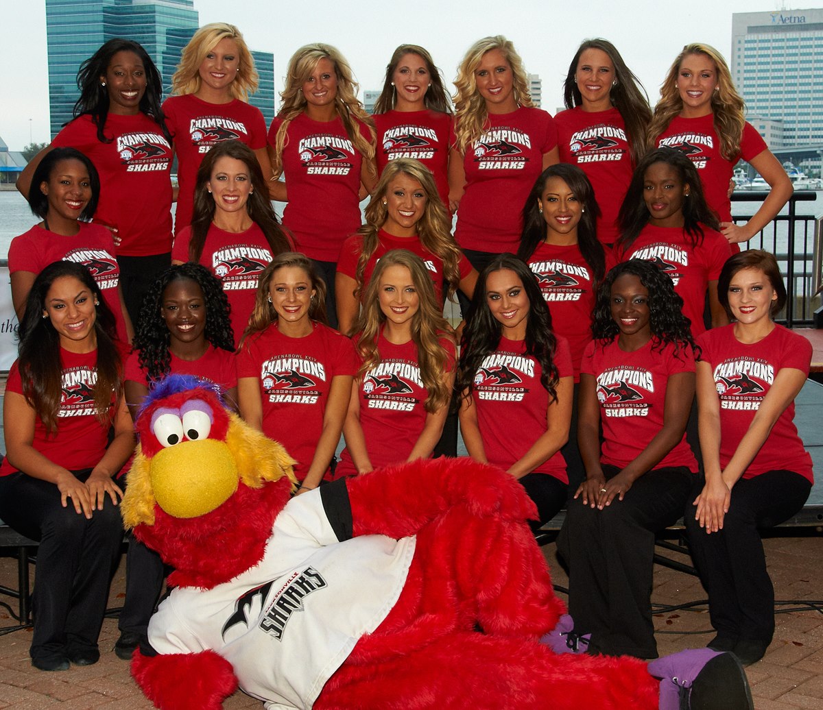 2012-13 dance team.jpg